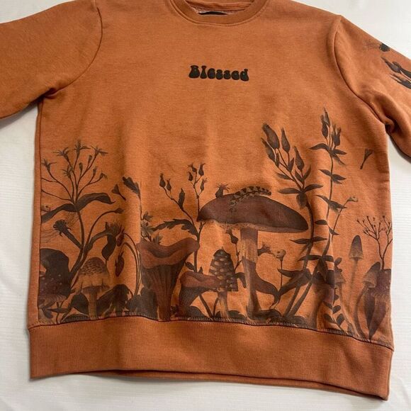 Blind Rooster Blessed Mushroom Sweatshirt Size Small - Picture 3 of 11